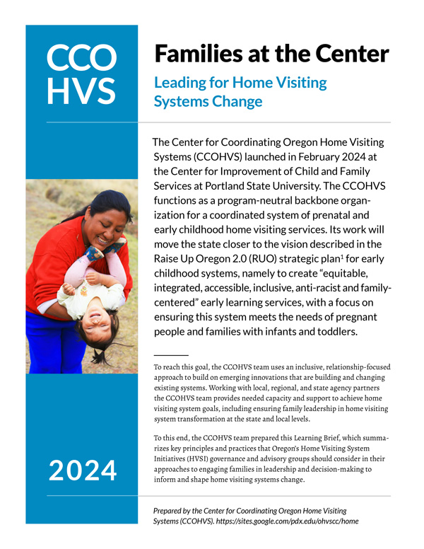 Screenshot of Families at the Center: Leading for Home Visiting Systems Change (ENGLISH) PDF